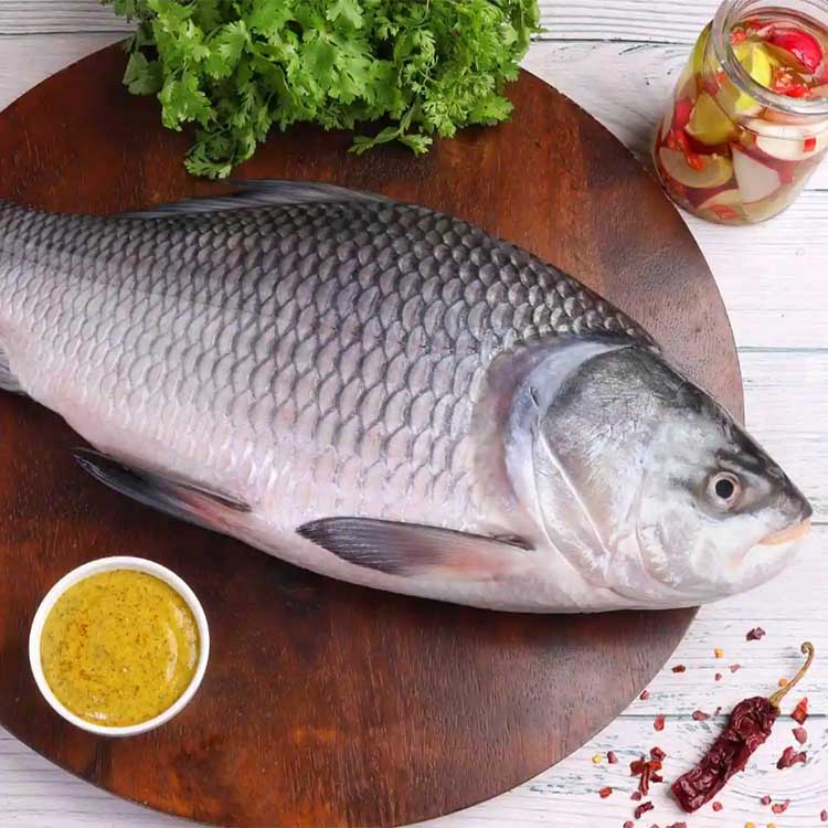 Seafood Katla