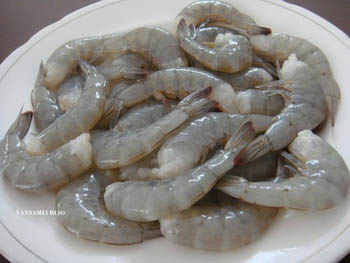 Seafood Medium Prawns