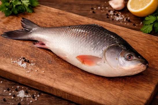 Seafood Rohu